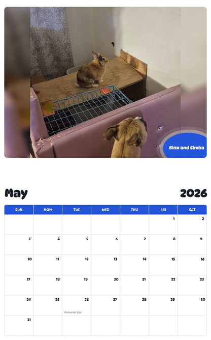 2026 - 2027 Binx and Simba - Pawidols Pet Calendar