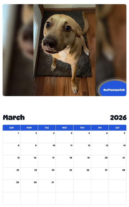 November 2025 - October 2026 Butterscotch - Pawidols Pet Calendar