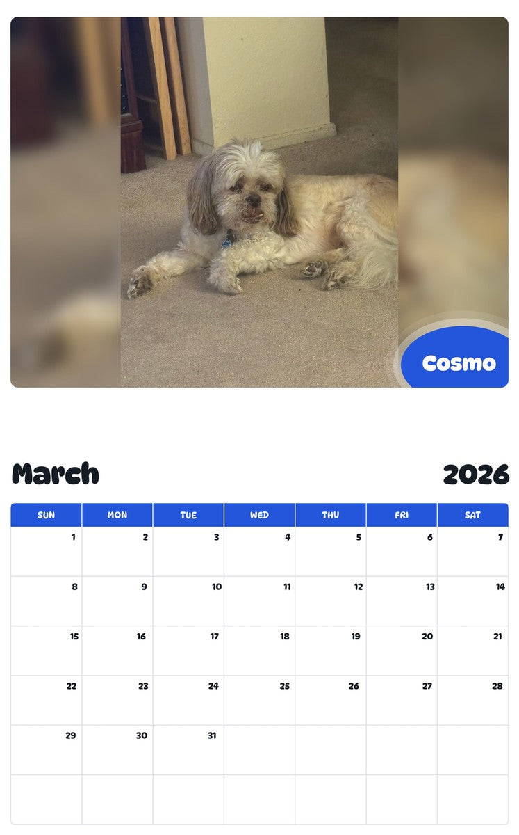 November 2025 - October 2026 Cosmo - Pawidols Pet Calendar