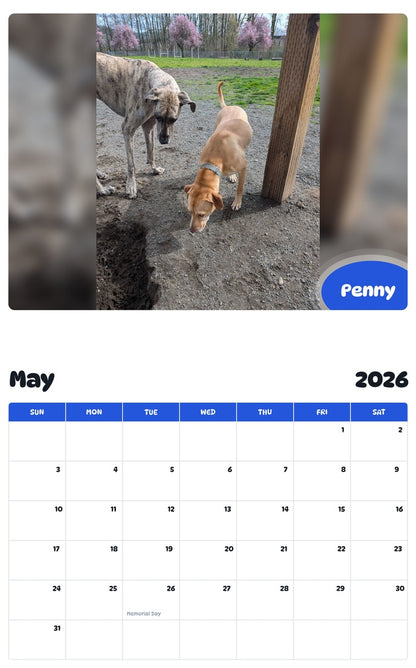 2026 - 2027 Penny - Pawidols Pet Calendar