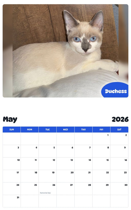2026 - 2027 Duchess - Pawidols Pet Calendar