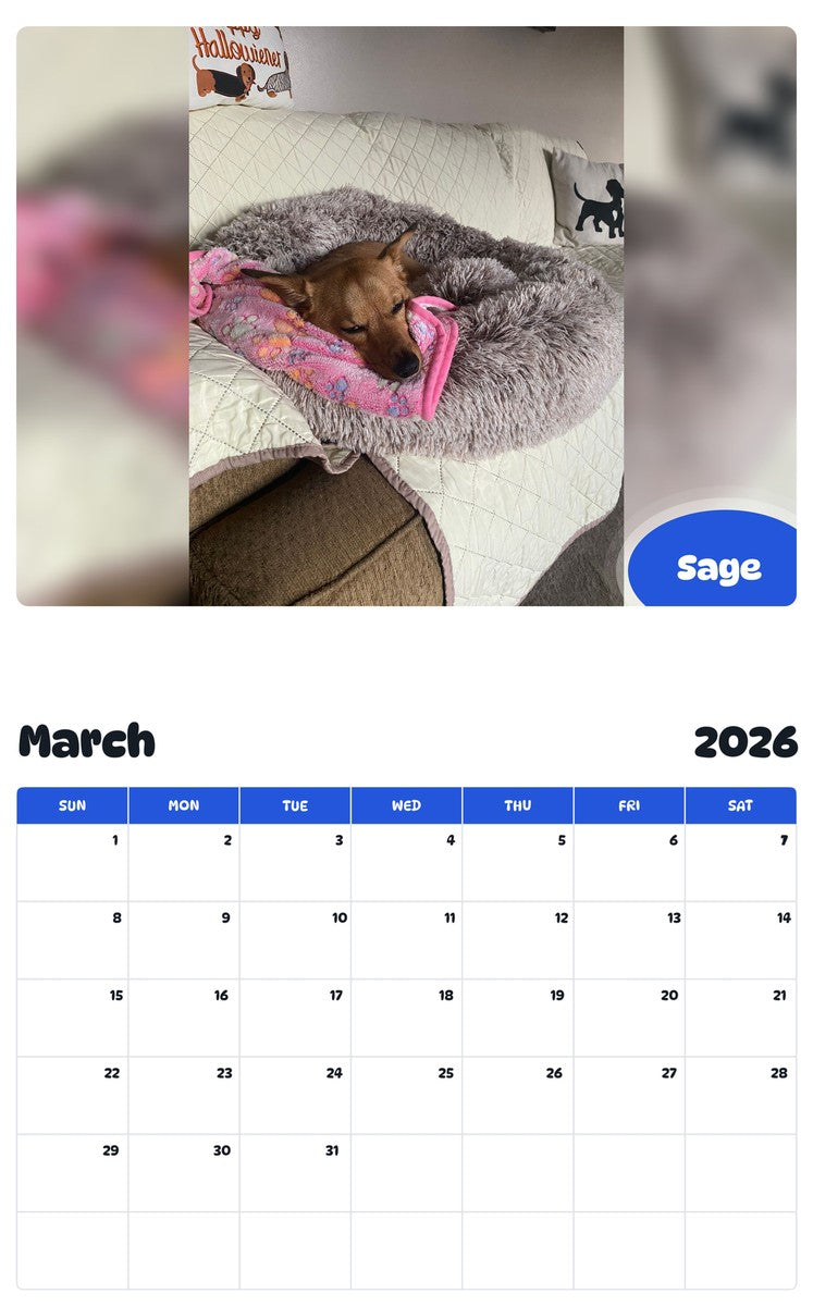 November 2025 - October 2026 Sage - Pawidols Pet Calendar