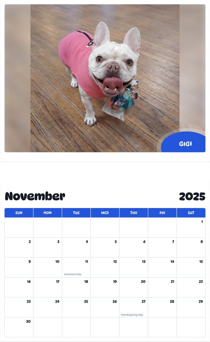 July 2025 - June 2026 Gigi - Pawidols Pet Calendar