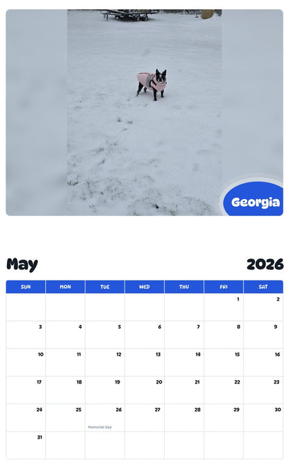 2026 - 2027 Georgia - Pawidols Pet Calendar