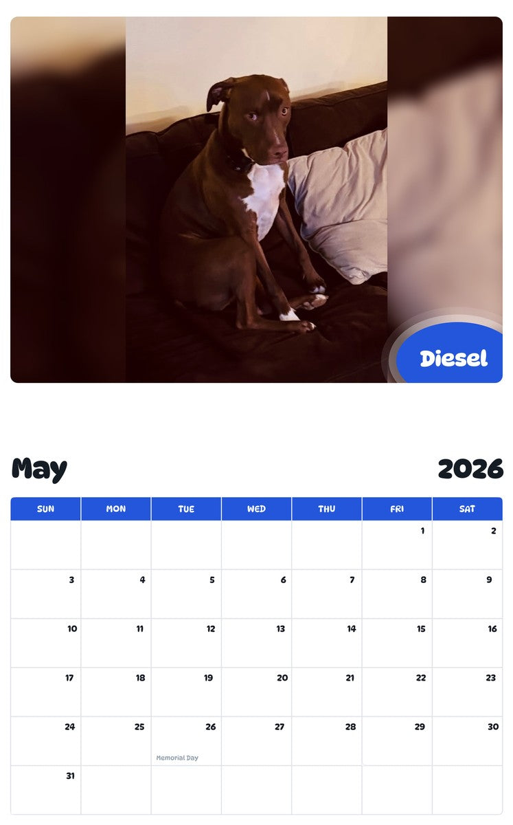 2026 - 2027 Diesel - Pawidols Pet Calendar