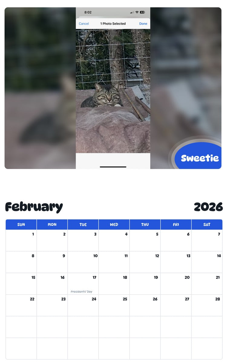 October 2025 - September 2026 Sweetie - Pawidols Pet Calendar