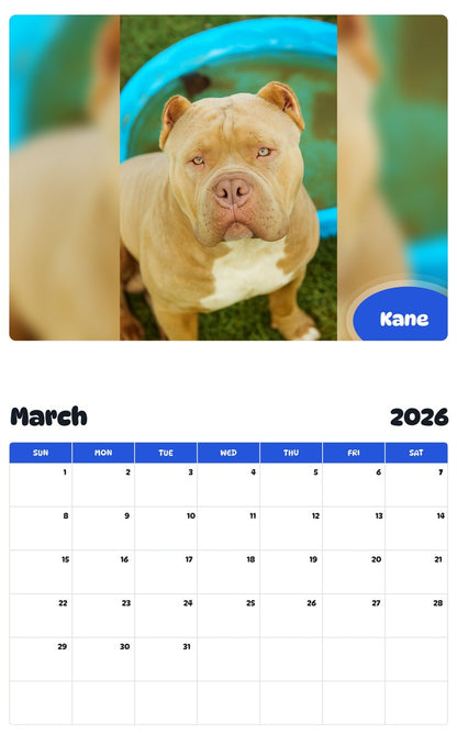 November 2025 - October 2026 Kane - Pawidols Pet Calendar
