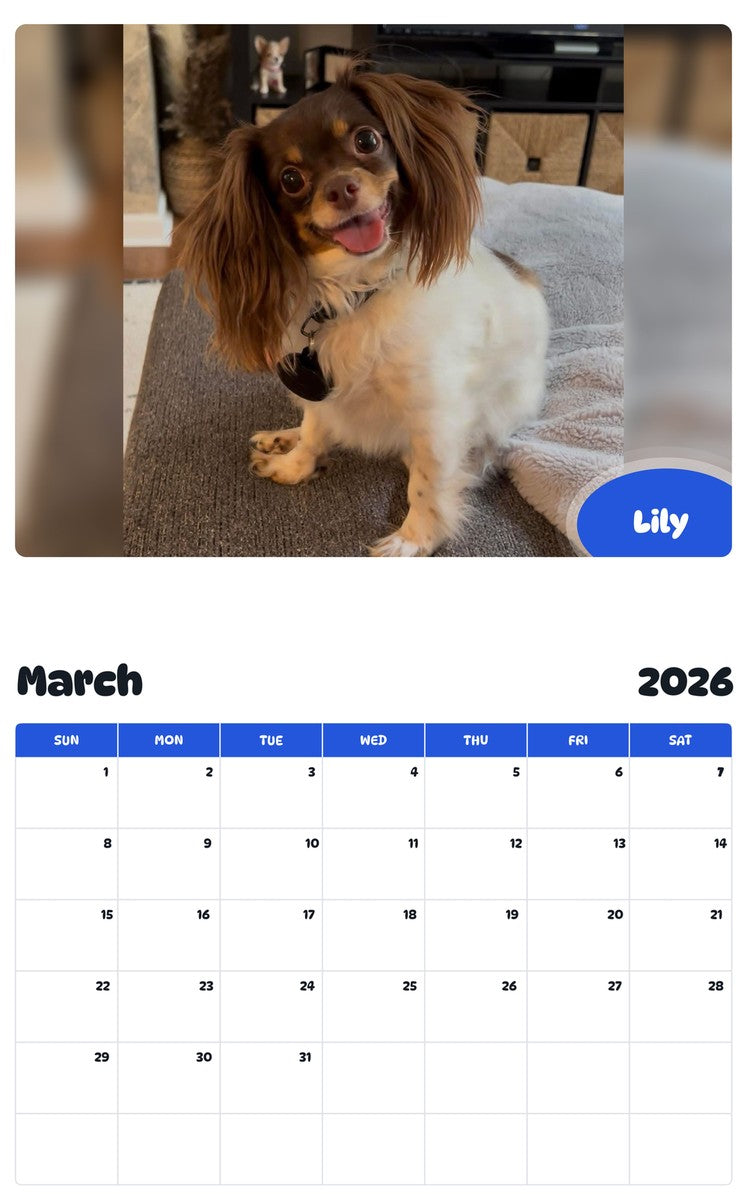 November 2025 - October 2026 Lily - Pawidols Pet Calendar