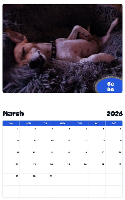 November 2025 - October 2026 Be be - Pawidols Pet Calendar