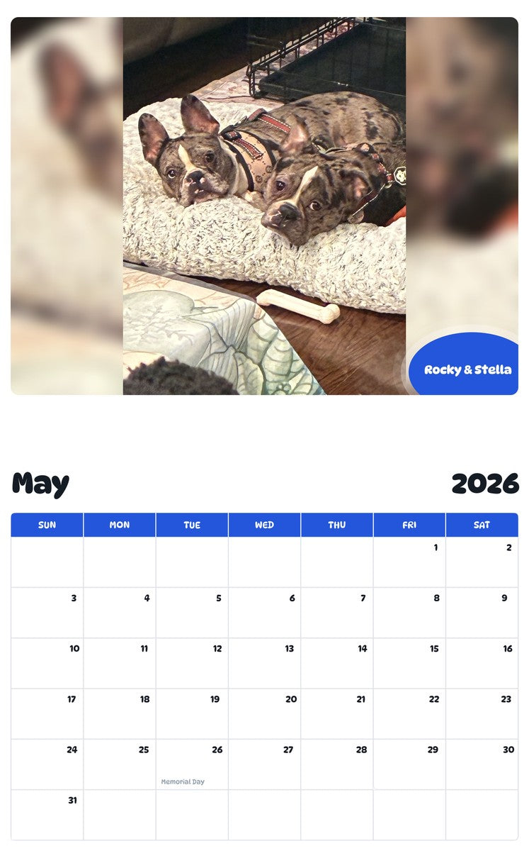 2026 - 2027 Rocky & Stella - Pawidols Pet Calendar
