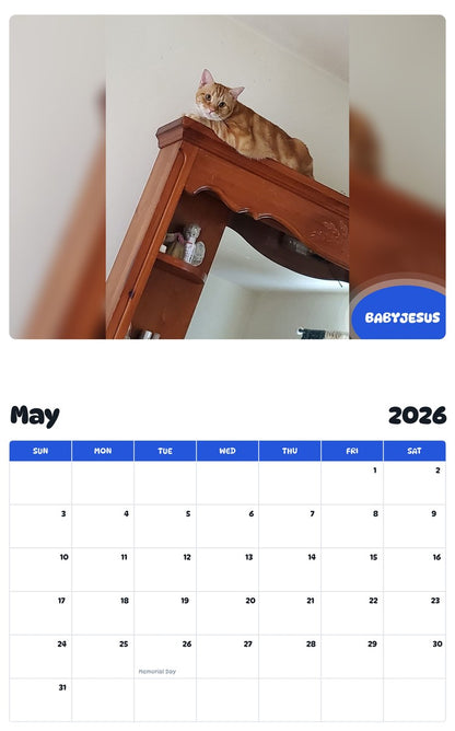 2026 - 2027 BABYJESUS - Pawidols Pet Calendar