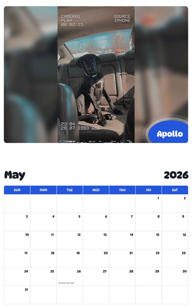 2026 - 2027 Apollo - Pawidols Pet Calendar