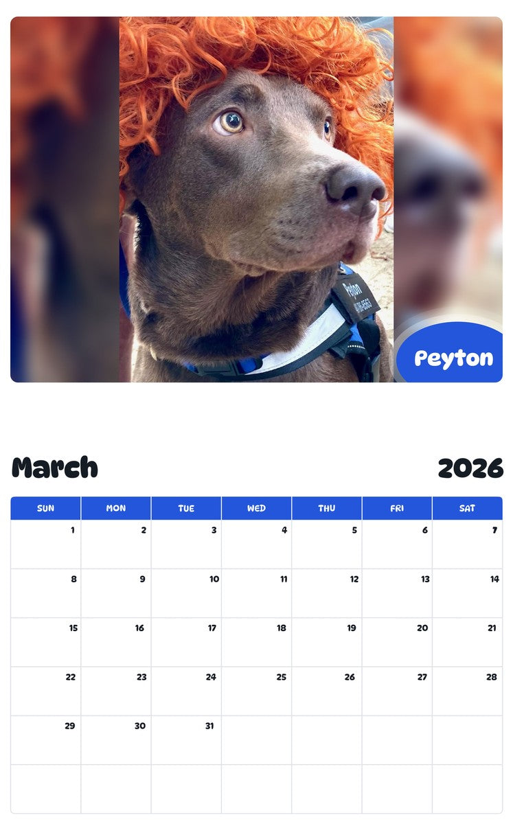 November 2025 - October 2026 Peyton - Pawidols Pet Calendar