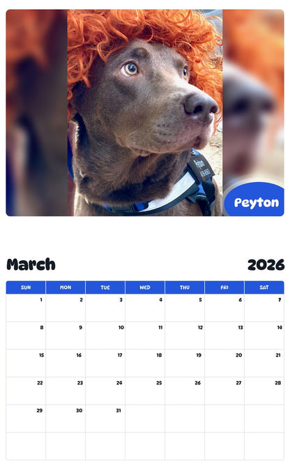 November 2025 - October 2026 Peyton - Pawidols Pet Calendar