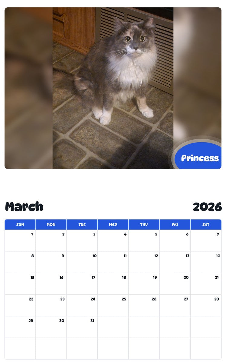 November 2025 - October 2026 Princess - Pawidols Pet Calendar