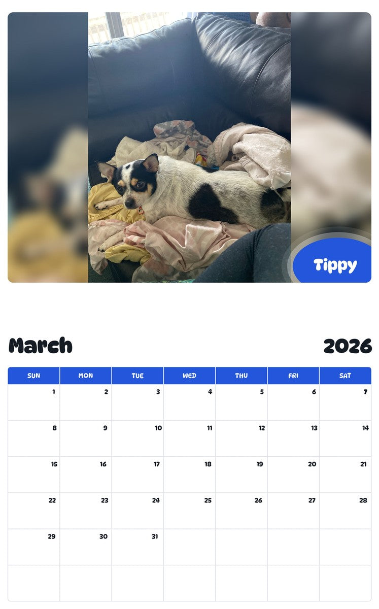 November 2025 - October 2026 Tippy - Pawidols Pet Calendar