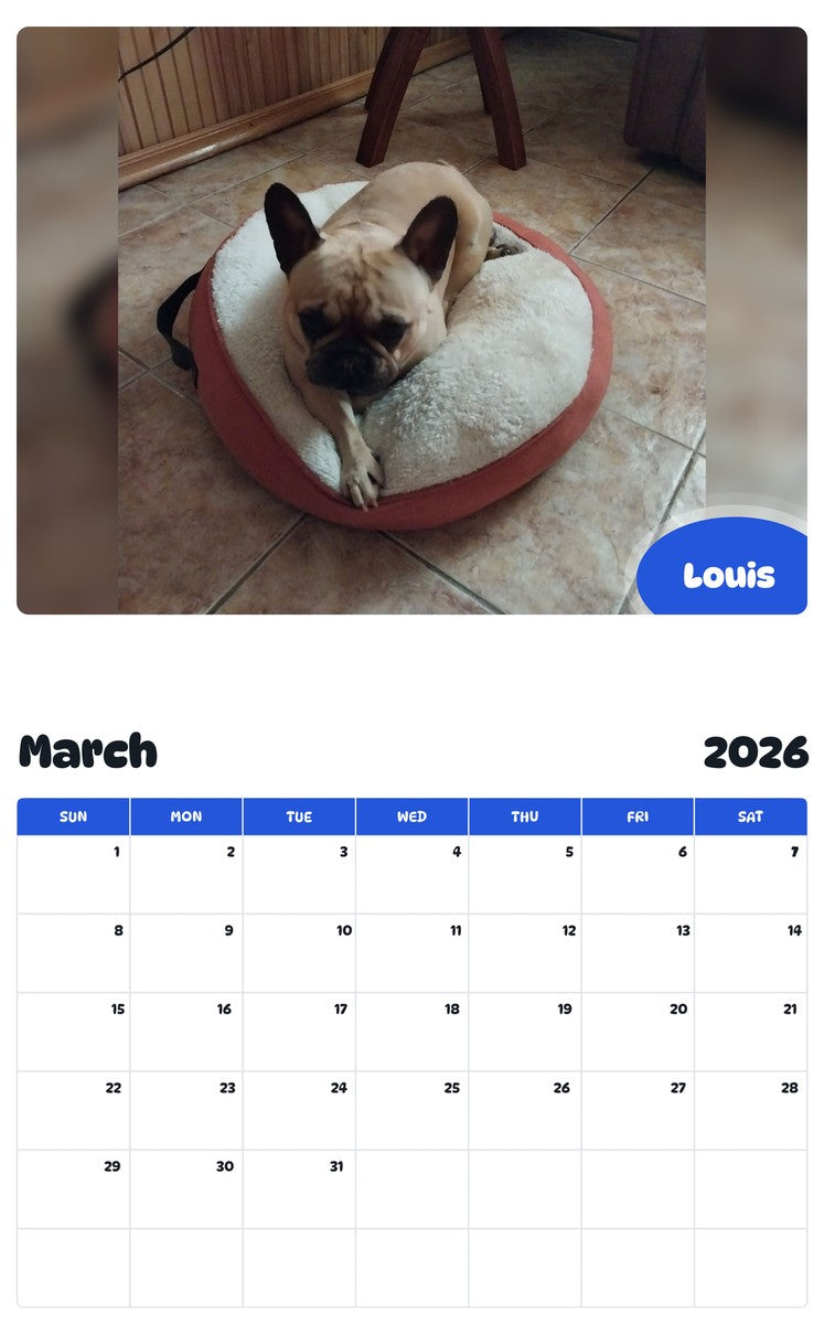 November 2025 - October 2026 Louis - Pawidols Pet Calendar