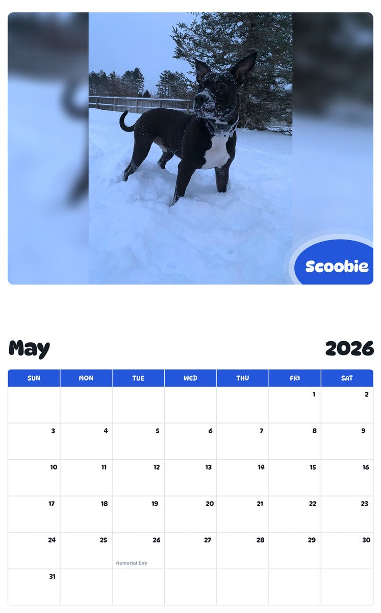 2026 - 2027 Scoobie - Pawidols Pet Calendar
