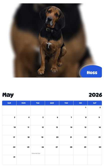 2026 - 2027 Hoss - Pawidols Pet Calendar