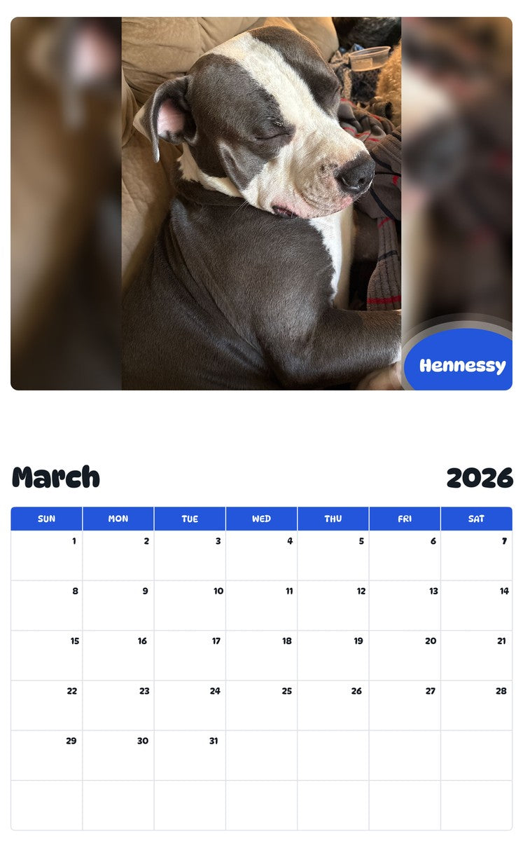 November 2025 - October 2026 Hennessy - Pawidols Pet Calendar