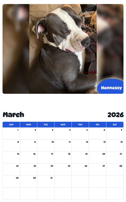 November 2025 - October 2026 Hennessy - Pawidols Pet Calendar