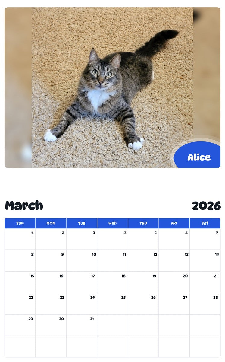 November 2025 - October 2026 Alice - Pawidols Pet Calendar