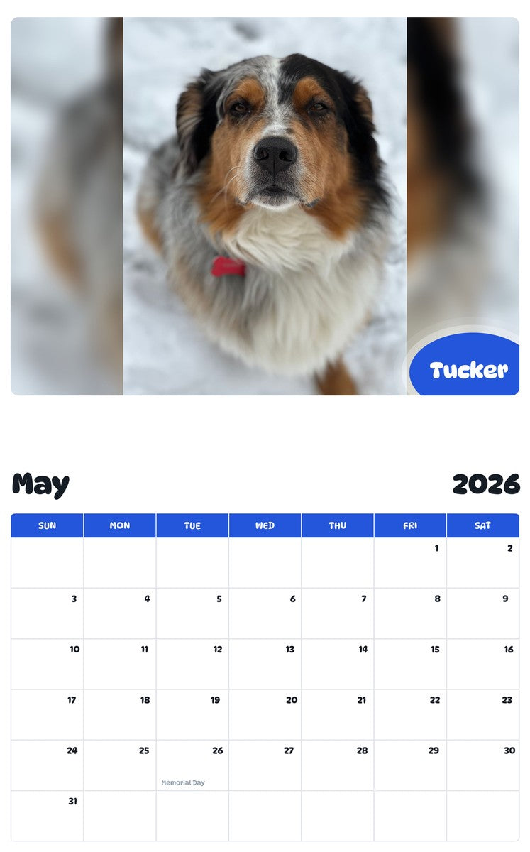 2026 - 2027 Tucker - Pawidols Pet Calendar