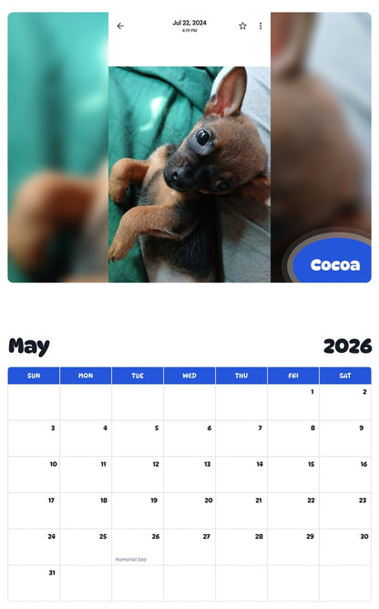 2026 - 2027 Cocoa - Pawidols Pet Calendar