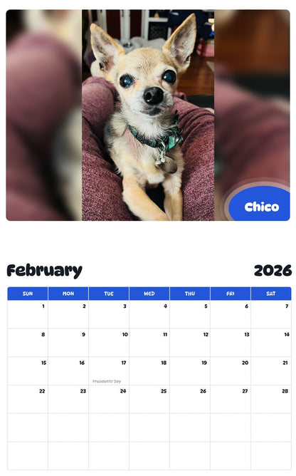 October 2025 - September 2026 Chico - Pawidols Pet Calendar