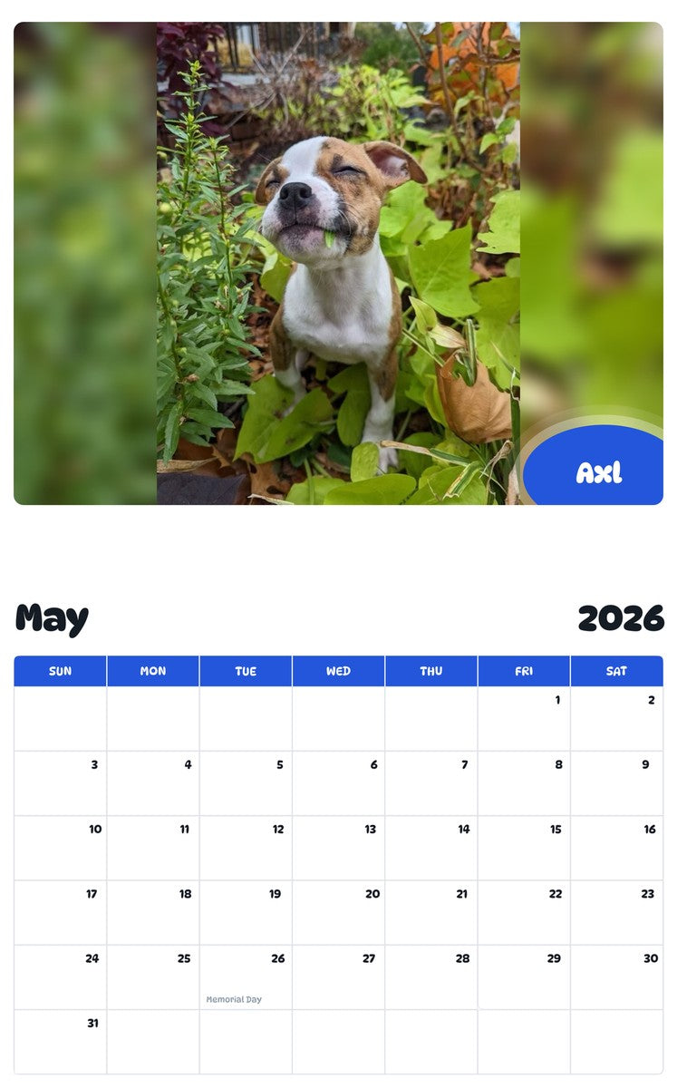 2026 - 2027 Axl - Pawidols Pet Calendar