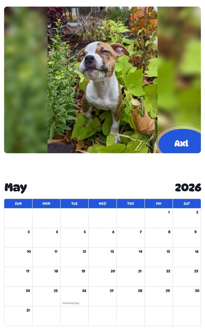 2026 - 2027 Axl - Pawidols Pet Calendar