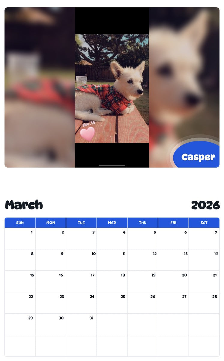 November 2025 - October 2026 Casper - Pawidols Pet Calendar