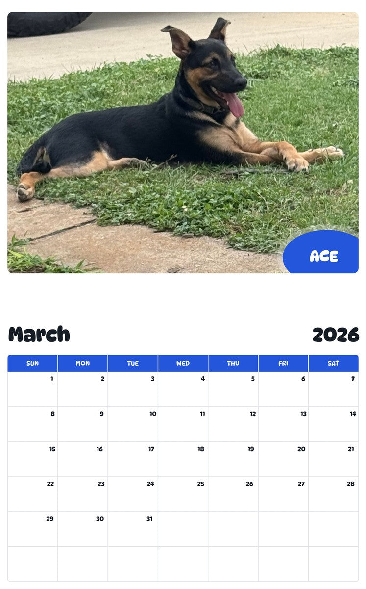 November 2025 - October 2026 ACE - Pawidols Pet Calendar