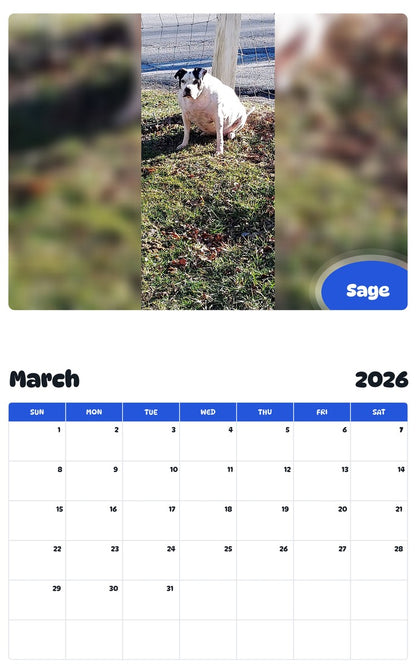 November 2025 - October 2026 Sage - Pawidols Pet Calendar