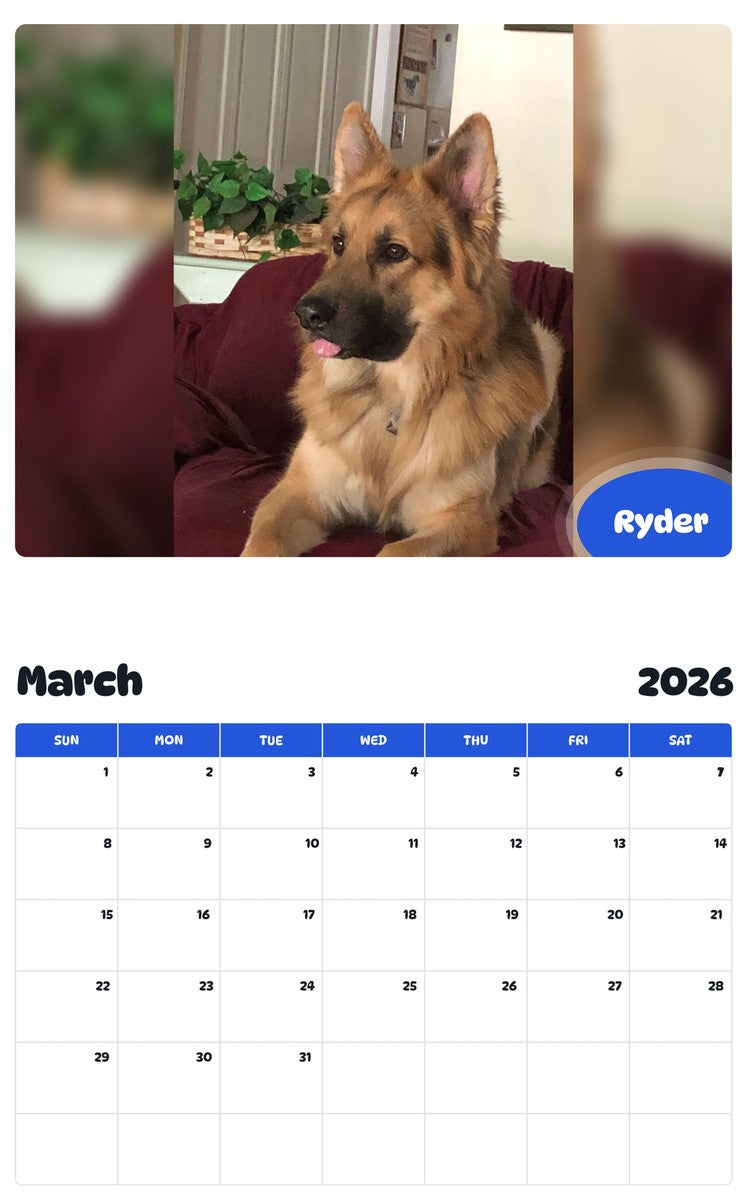 November 2025 - October 2026 Ryder - Pawidols Pet Calendar
