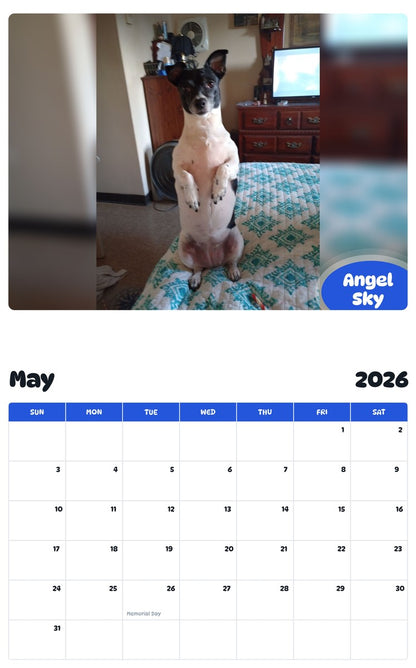 2026 - 2027 Angel Sky - Pawidols Pet Calendar