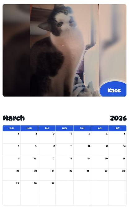 November 2025 - October 2026 Kaos - Pawidols Pet Calendar
