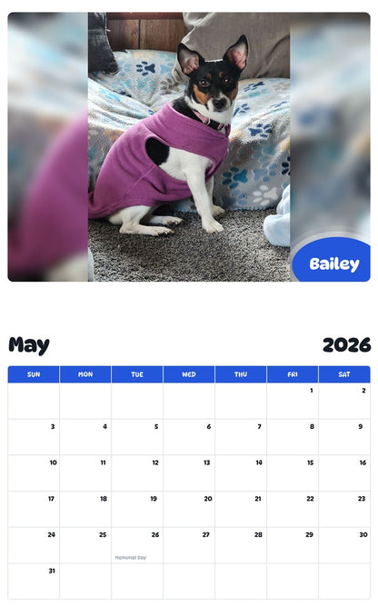 2026 - 2027 Bailey - Pawidols Pet Calendar