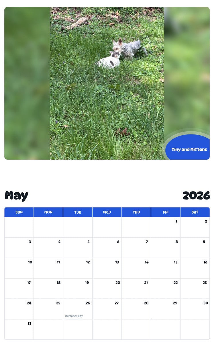 2026 - 2027 Tiny and Mittens - Pawidols Pet Calendar