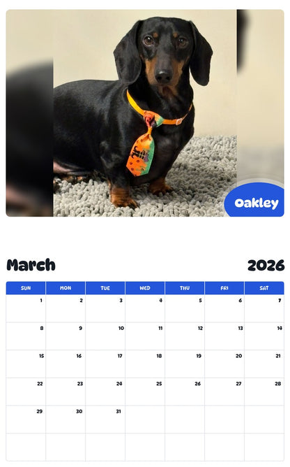 November 2025 - October 2026 Oakley - Pawidols Pet Calendar
