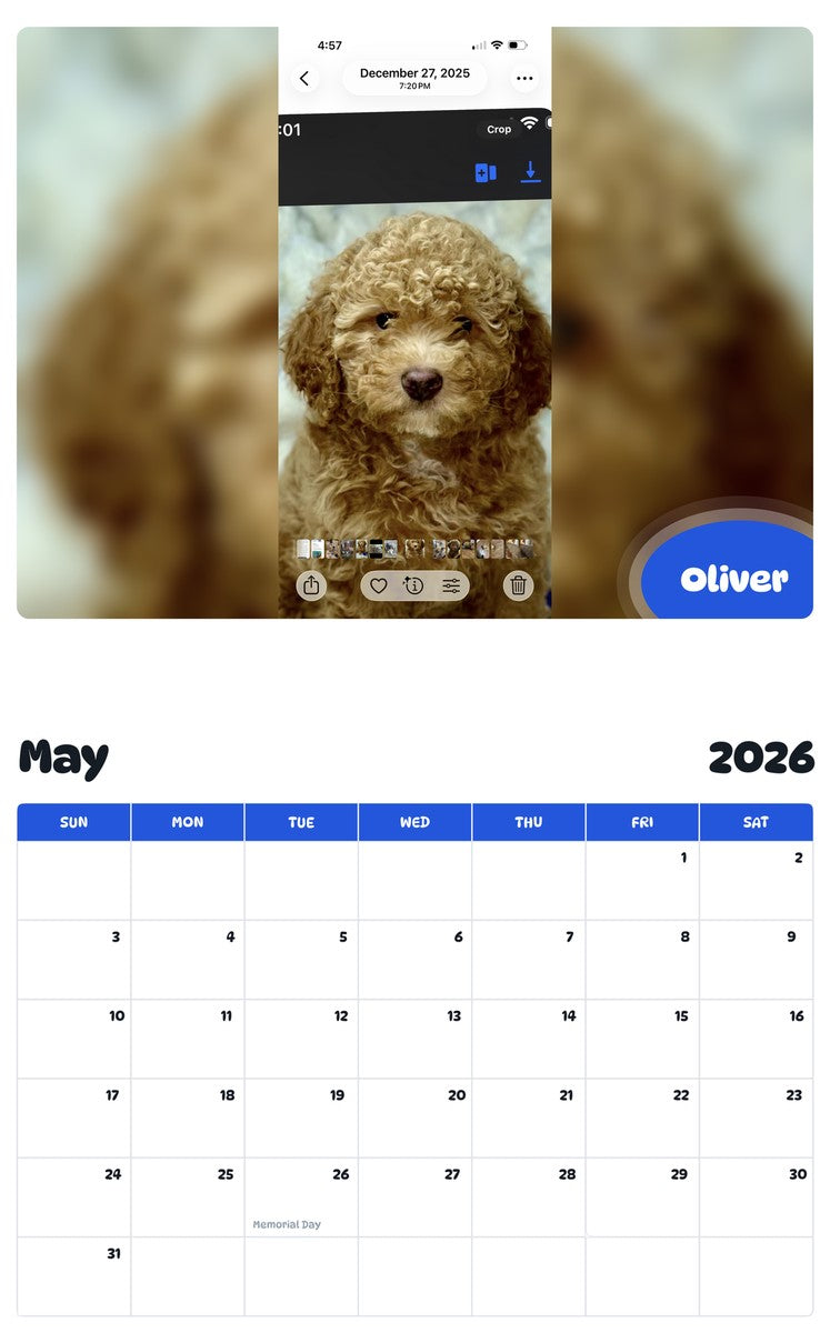 2026 - 2027 Oliver - Pawidols Pet Calendar