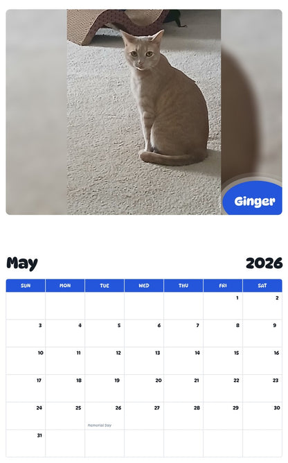 2026 - 2027 Ginger - Pawidols Pet Calendar