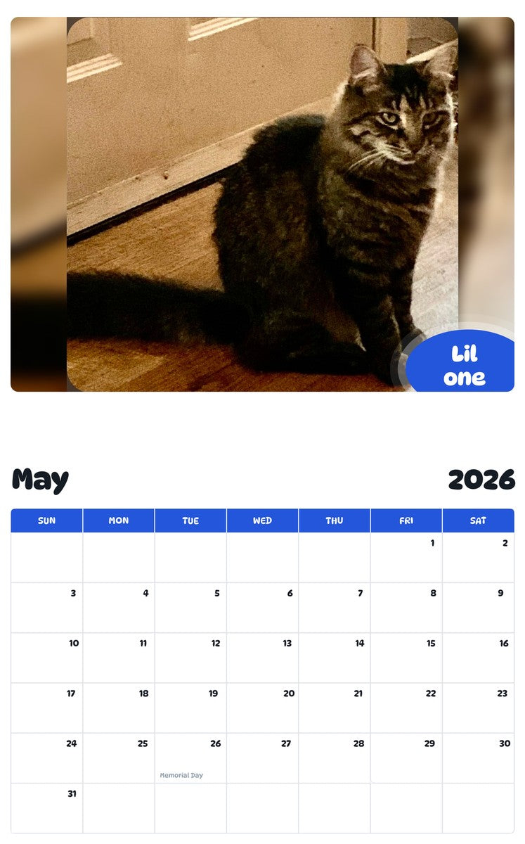 2026 - 2027 Lil one - Pawidols Pet Calendar
