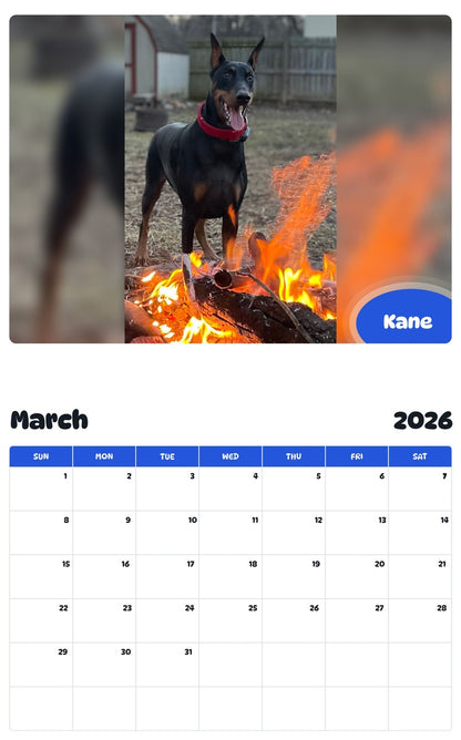 November 2025 - October 2026 Kane - Pawidols Pet Calendar