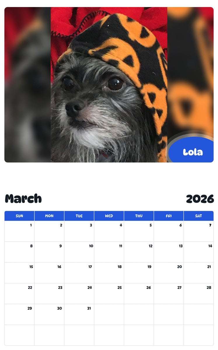 November 2025 - October 2026 Lola - Pawidols Pet Calendar