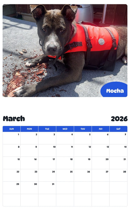 November 2025 - October 2026 Mocha - Pawidols Pet Calendar