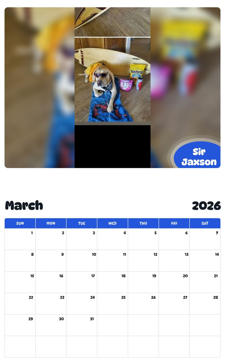 November 2025 - October 2026 Sir Jaxson - Pawidols Pet Calendar