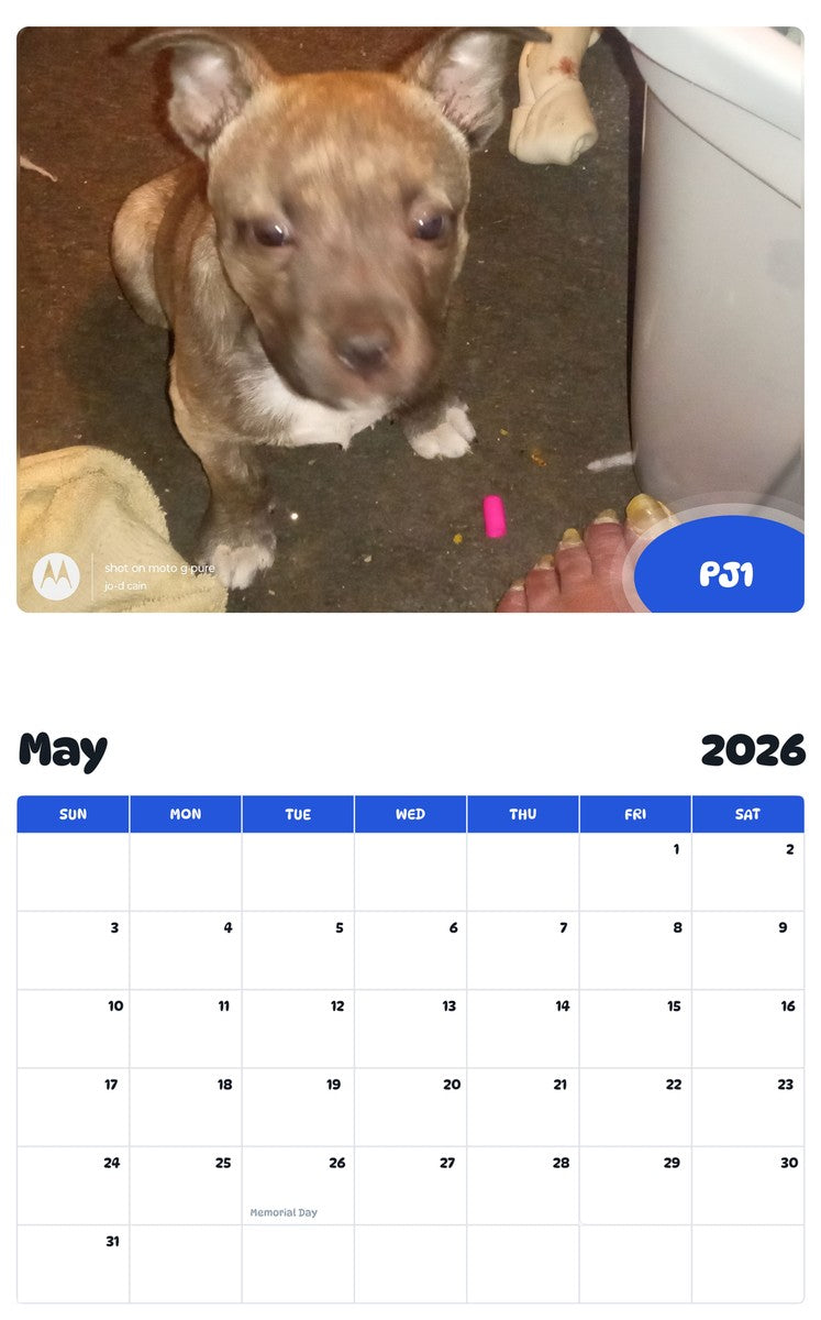 2026 - 2027 PJ1 - Pawidols Pet Calendar