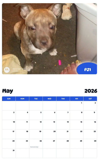 2026 - 2027 PJ1 - Pawidols Pet Calendar