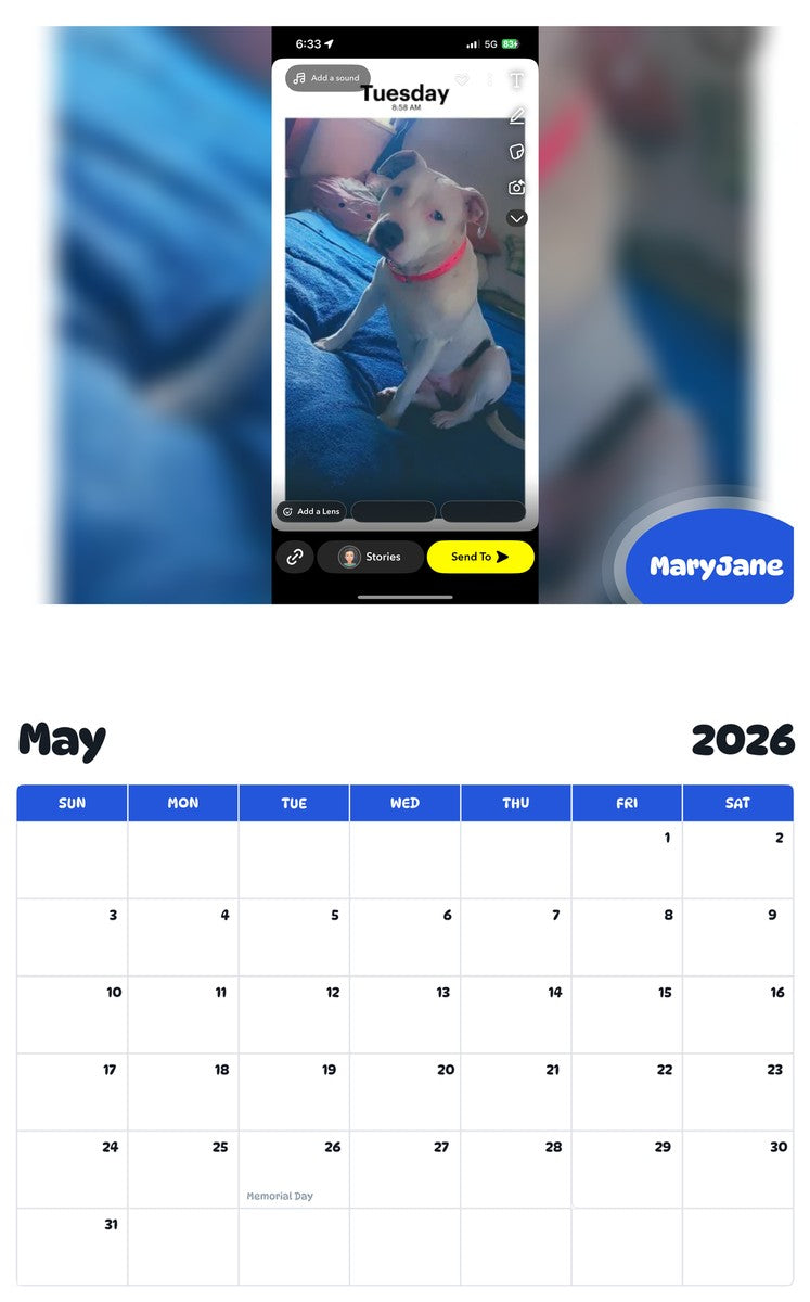 2026 - 2027 MaryJane - Pawidols Pet Calendar
